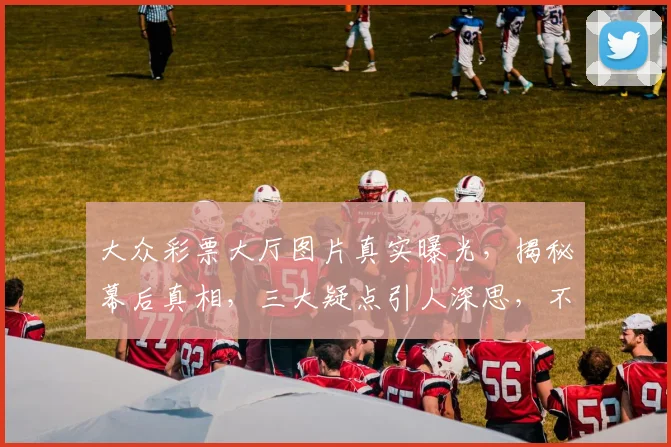 大众彩票大厅图片真实曝光，揭秘幕后真相，三大疑点引人深思，不容错过