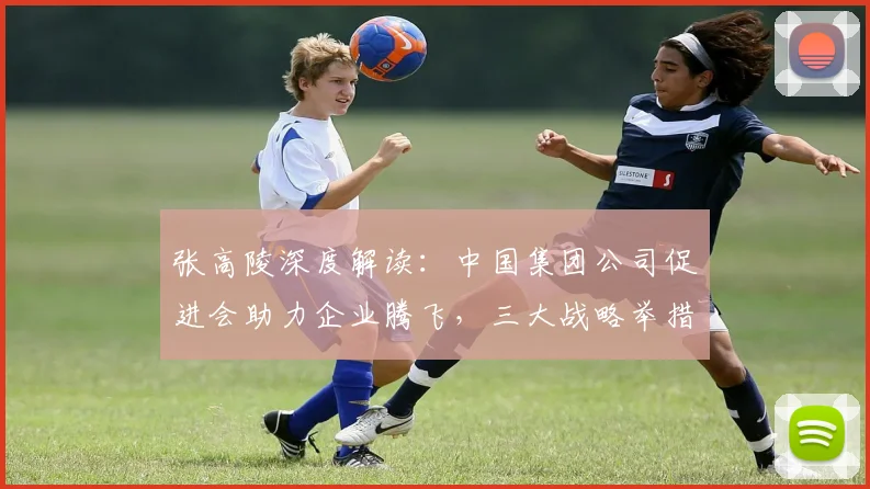 张高陵深度解读：中国集团公司促进会助力企业腾飞，三大战略举措，共谋发展新篇章