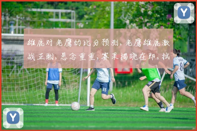 雄鹿对老鹰的比分预测,老鹰雄鹿激战正酣,悬念重重,赛果揭晓在即,拭目以待