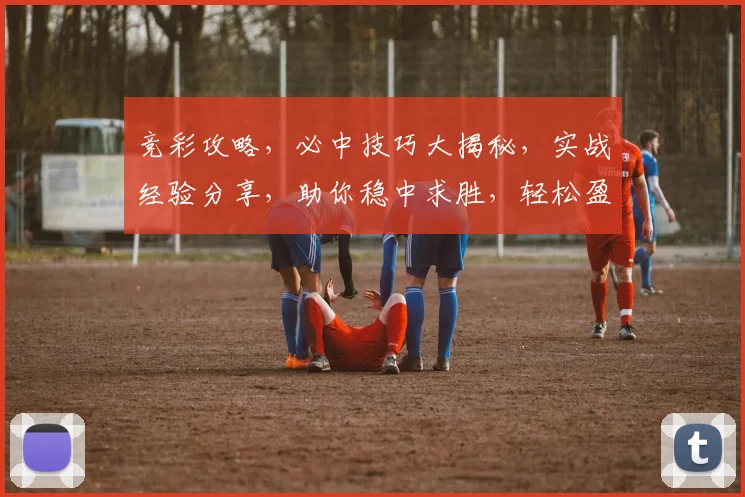 竞彩攻略，必中技巧大揭秘，实战经验分享，助你稳中求胜，轻松盈利